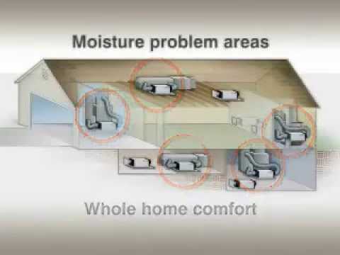 Honeywell Truedry Dehumidifier You Honeywell Truedry Dehumidifier