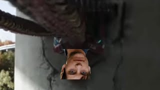Youre not Peter Parker, youre Bully Maguire