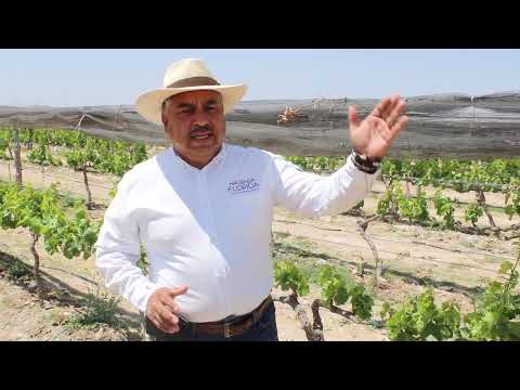 BODEGAS HACIENDA FLORIDA | Ruta Vinos y Dinos | GENERAL CEPEDA, COAHUILA [ Bienvenido a Casa ]