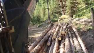 Montana, Log Trucker, selfloader, loglift
