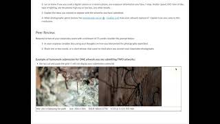 Diptych HW Requirements