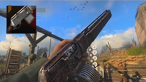 Call of Duty ww2 (gun variants) toggle action Flag top