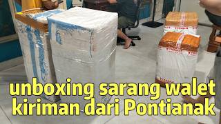 Unboxing a shipment of bird's nests from Pontianak, Kalimantan... let's unpack and check it out