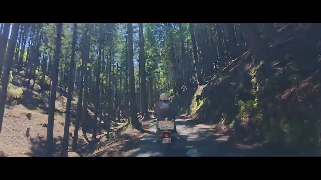 Sexagenarian Couple on a Super Cub 50cc Moped! Route 477 Shiga to