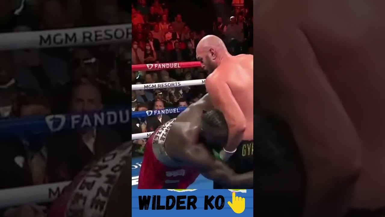WILDER KO by FURY