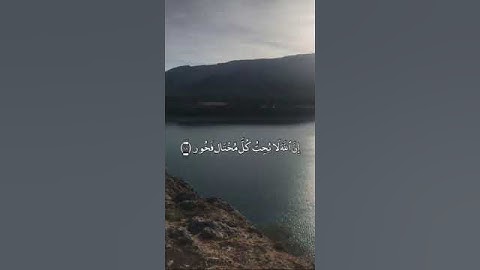 سورة لقمان - القارئ علي جابر