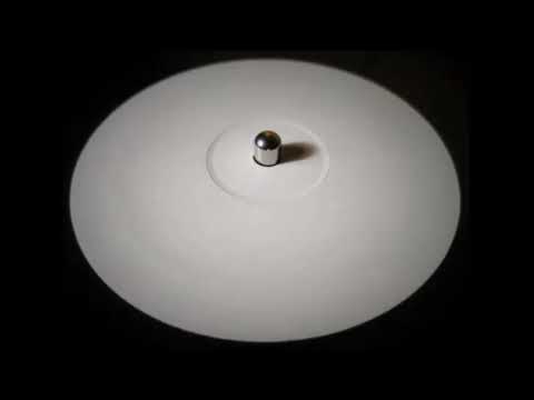 Witch Trials - Shifter