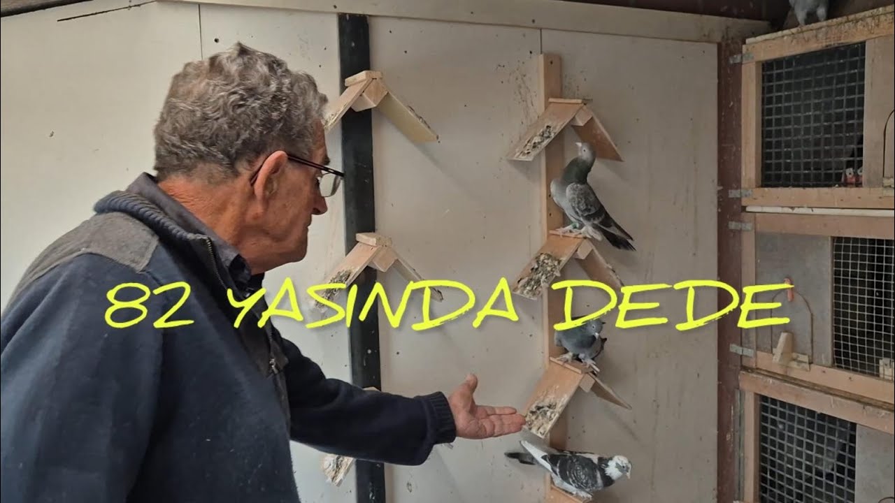 82 YAŞINDA PETER! BANA KUŞTAN ANLAMIYOR DİYORLAR!!?