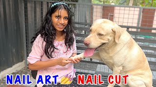 😍😍 Dog nail cut 💅 ആമി Nail Art 😍😍 by Laze Media 7,956 views 3 weeks ago 12 minutes, 1 second
