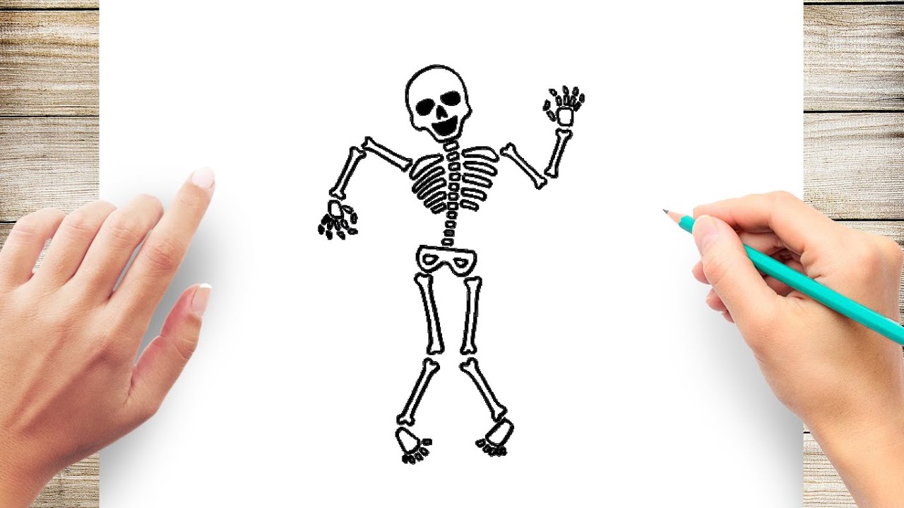 How to Draw Cartoon Skeletons with Step by Step Drawing Lesson for  Halloween  How to Draw Step by Step Drawing Tutorials  Skeleton drawing  easy Skeleton drawings Halloween drawings