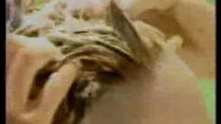 Petrole Hahn Shampoo