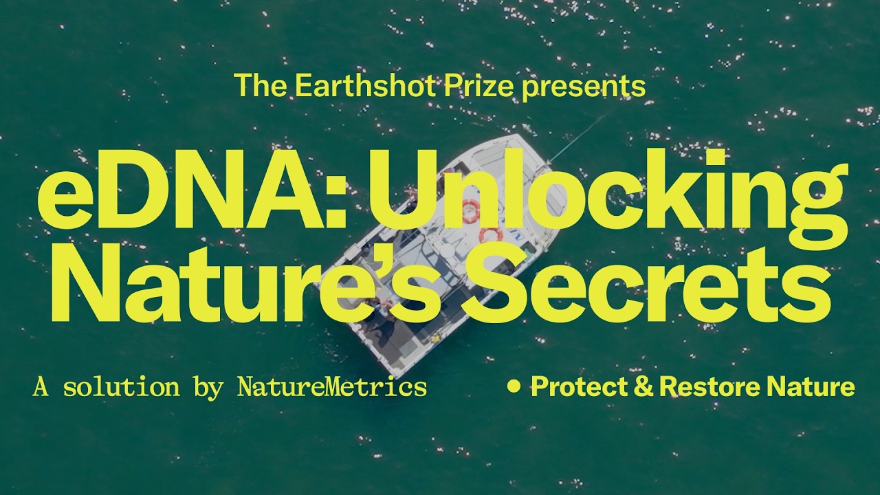 How Tiny Samples Can Have a Giant Impact on Biodiversity and Conservation