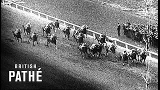 Santa Anita Handicap Lner 1938