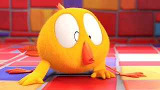 Where's Chicky? Funny Chicky 2022 | COLOR GAME | Cartoon in English for Kids | New episodes
