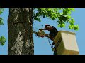 End of video