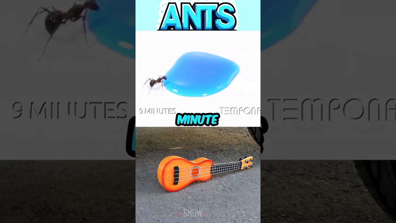 Feeding Frenzy: Watch Ants Drink Blue Liquid! 🐜🍹  