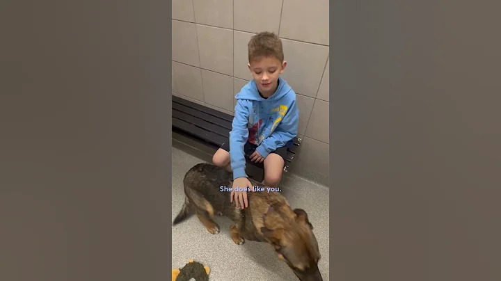 Dad Takes His Son To The Shelter Insisting They Can't Get A Dog | The Dodo