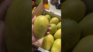 Mingolo Mango
