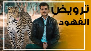 كيف يمكن جعل الفهود اليفة بسهولة ؟ مع ماوكلي - V#99