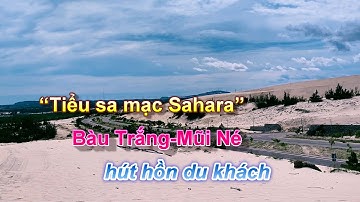 “Tiểu sa mạc Sahara” Bàu Trắng - Mũi Né Hút Hồn Du Khách I TLT Channel.