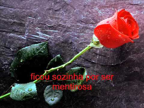 A rosa e o Beija-Flor - Banda Céu e Cantos