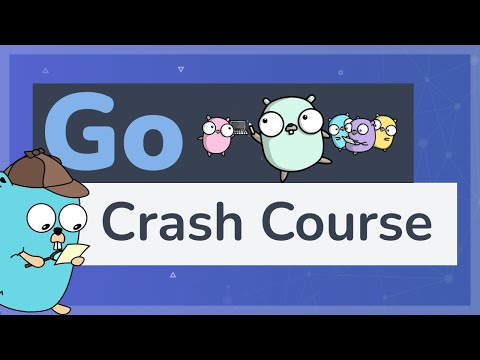 Go programmieren lernen in 14 Minuten - Go Crash Course
