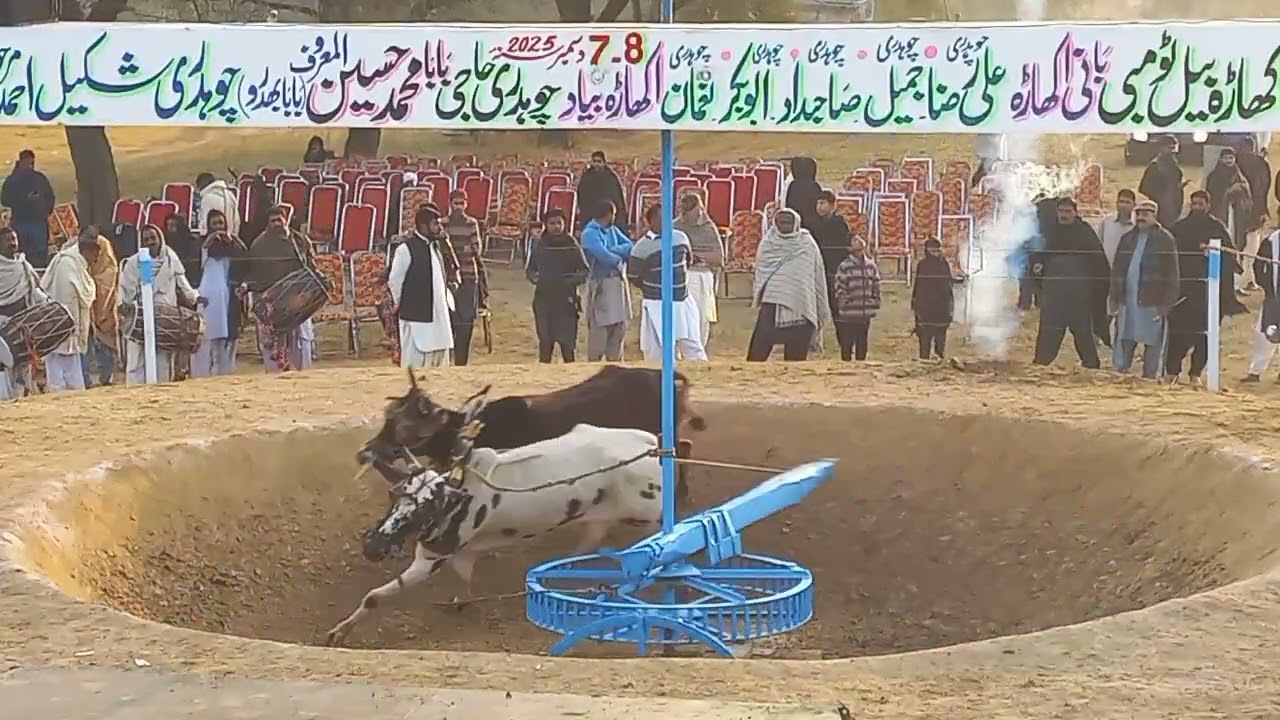 Malik Muhammad Hussain of Gujar Kotla | Akhara Bail Tombi 7 December 2025