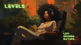 Levels | Chill Lofi Beats | Hip Hop, Drums, Strings & Nature Mix by Lofi and Chill 452 views 2 months ago 58 minutes