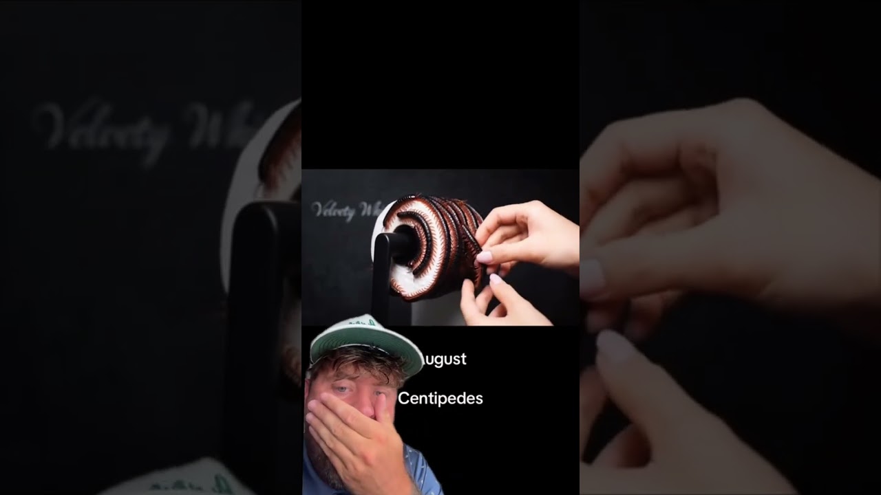 WHICH TOILET PAPER DID YOU GET ? 