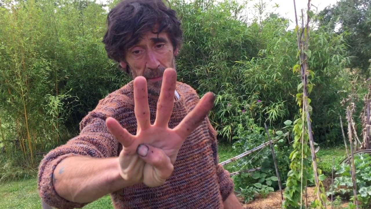 La plantation des poireaux