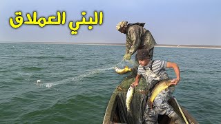 صيد أسماك البني والسمتي في هور الدلمج Fishing