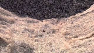 Storm Water Best Management Practice