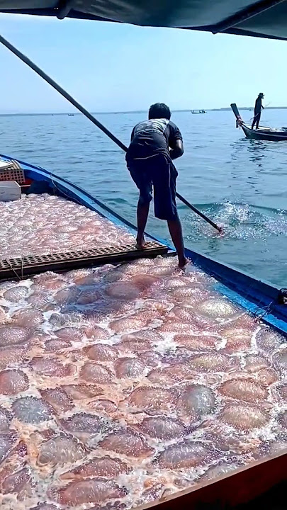 World Most Dangerous Jobs #shortvideo