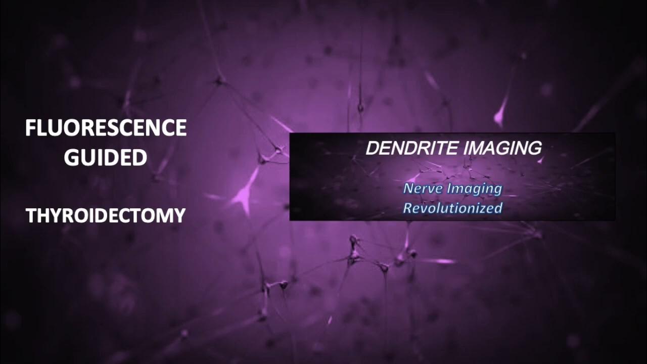 Thyroidectomy Nerve Visualization - Dendrite Imaging - YouTube