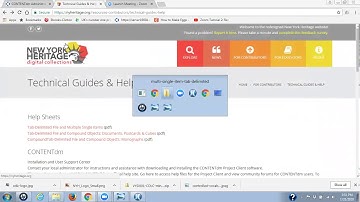 Use Tab-Delimited File to Import Multiple Single Items into the Project Client