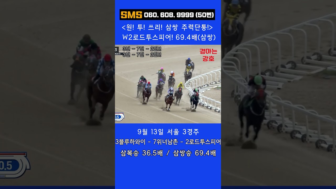 9/13(일)💣69.4배!(삼쌍) 36.5배(삼복) 주력단통! / 믿어지십니까? 이런게 한구라입니다. 🐎 인기1위에 쫄지마!