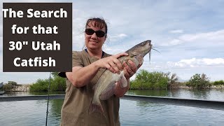 In Search of that 30 Catfish at the Bear River & Willard Bay