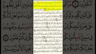 سورة الصف كامله صدقة على روح رحيم رجاء الدعاء له💔