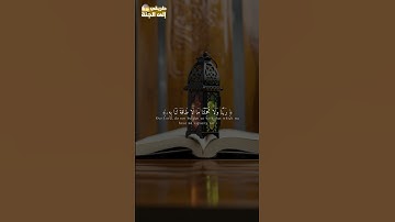لا يكلف الله نفسا الاوسعها #سورة_البقرة #فارس_عباد #trend #trending #explore #اكسبلور #islamic #قرآن