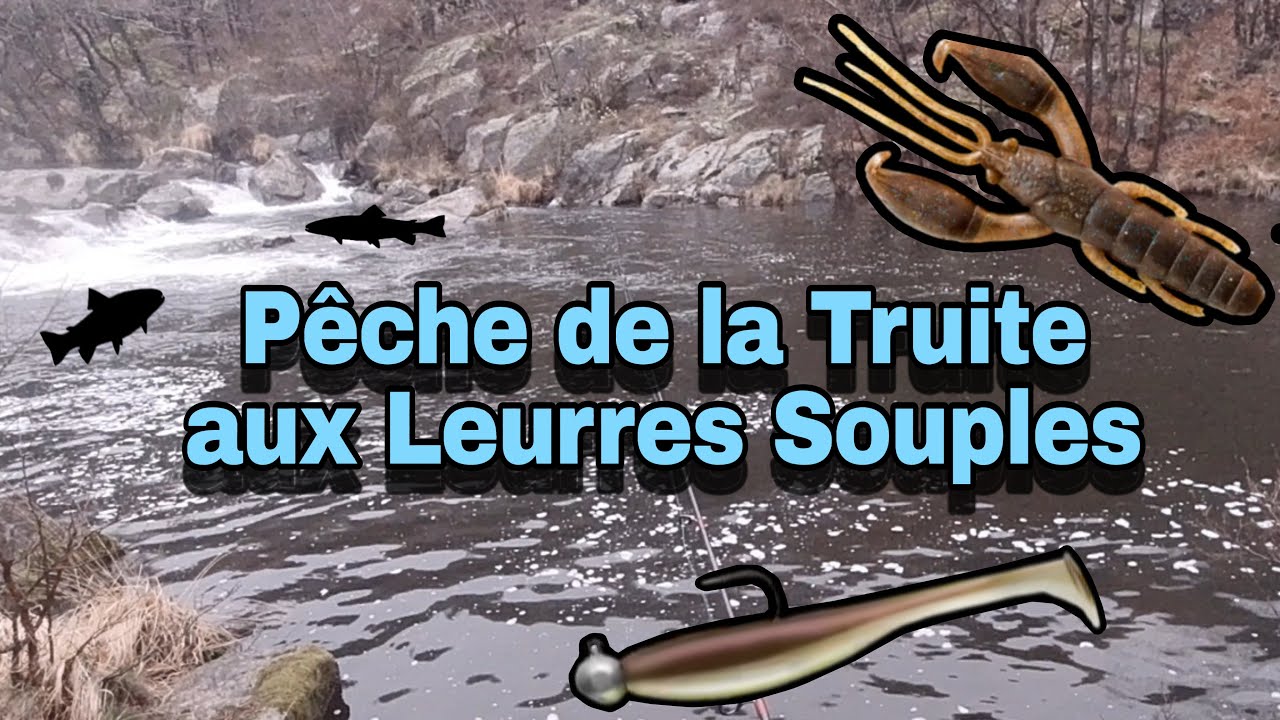 Leurre Souple pour Brochet Truite Bar leurre Truite avec des Leurre Souple pour Brochet Truite Bar leurre Truite avec des