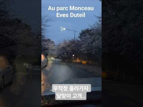 #달맞이고개 #해운대 #부산#벚꽃#haeundae#moontanroad#travel#driving#비오는날#YvesDuteil#AuparcMonceau