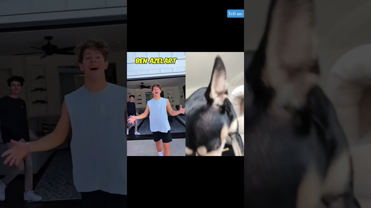 275 SELECT TOP ORDER BY - YouTube Auto PHP Script