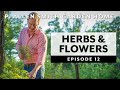 Herb and Flower Combinations: Garden Home VLOG (2019) 4K