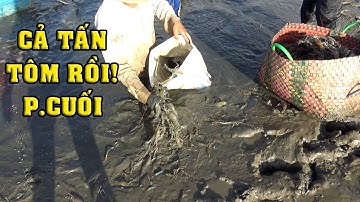 BẮT CẢ TẤN TÔM CÀNG & TIỆC TÔM NƯỚNG GẶP FAN BÀ TÂN VLOG CƯỜI BỂ BỤNG PHÚT 90 CƯỜI XỈU/NGÃ NĂM TV