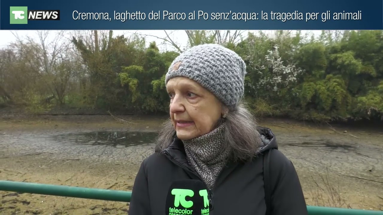 Cremona, laghetto del Parco al Po senz’acqua: la tragedia per gli animali