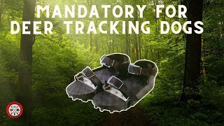 Train Your Dog to Track Deer Like a Pro With Wasgau Scent Shoes!