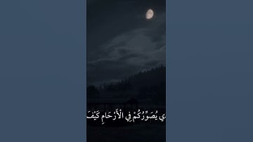 #قرآن #قران_كريم #تلاوة_خاشعة #تلاوة_هادئة #استغفر_الله #صلوا_على_النبي #عبدالرحمن_مسعد
