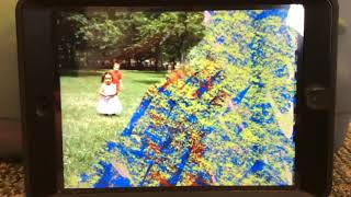 Blues Room Its Hug Day 2005 Dvd