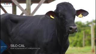 SILO CAL
