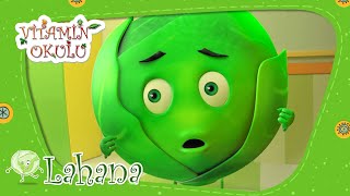 Vitamin Okulu Lahana